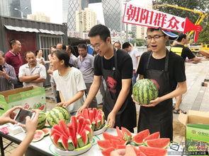 北京朝阳吃瓜网,吃瓜群众的热门话题大盘点