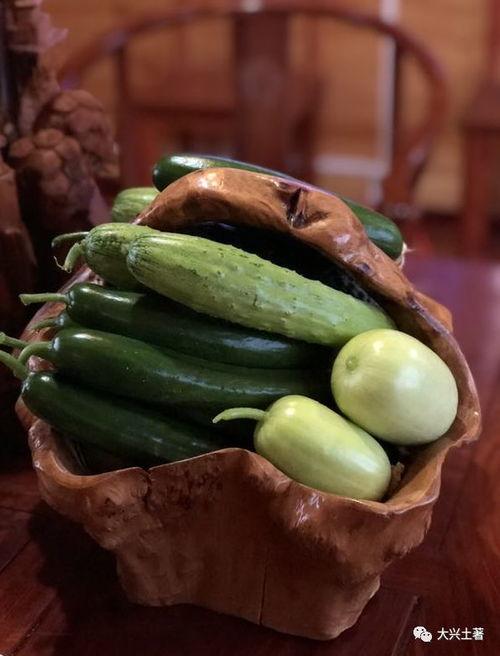 库尔勒吃瓜网红是谁