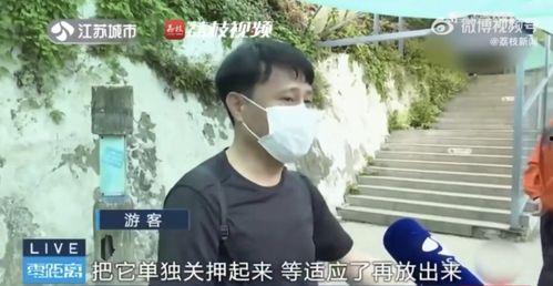 网红情侣被吃瓜,吃瓜群众热议背后的真相