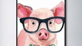 猪头娱乐圈吃瓜,揭秘明星们的“吃瓜”生活