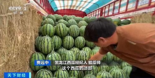 全国热点吃瓜网,揭秘娱乐圈最新动态，带你领略热点事件背后的真相